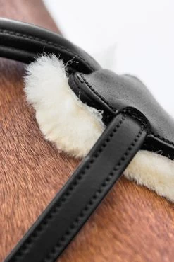 Horze Prescott Mexican Noseband Bridle -Sports - Horse Equipment Shop 10012 BL 04