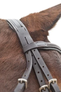 Horze Prescott Mexican Noseband Bridle -Sports - Horse Equipment Shop 10012 BR 05