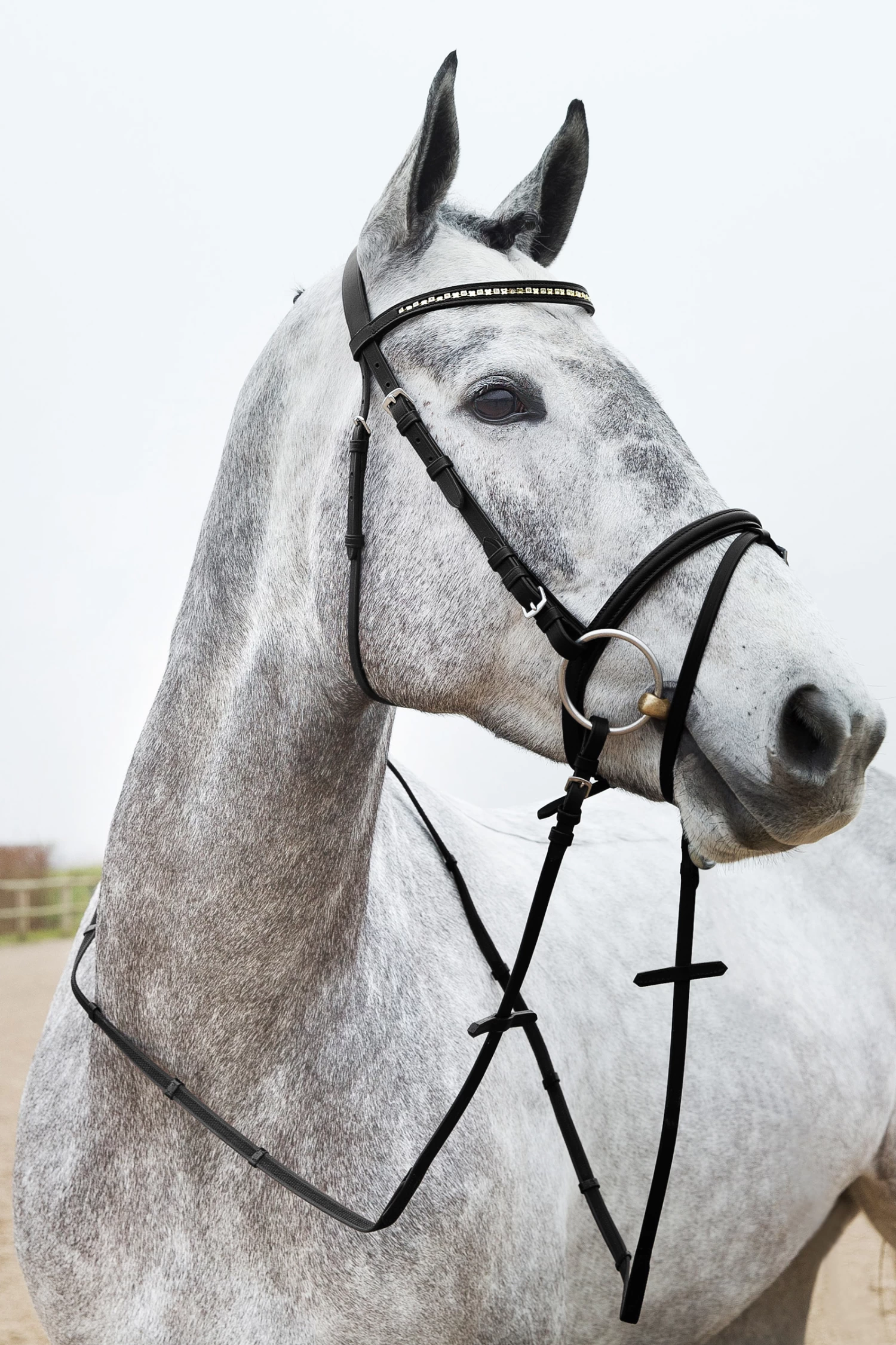 Horze Weston Bridle 3 Horze Weston Bridle