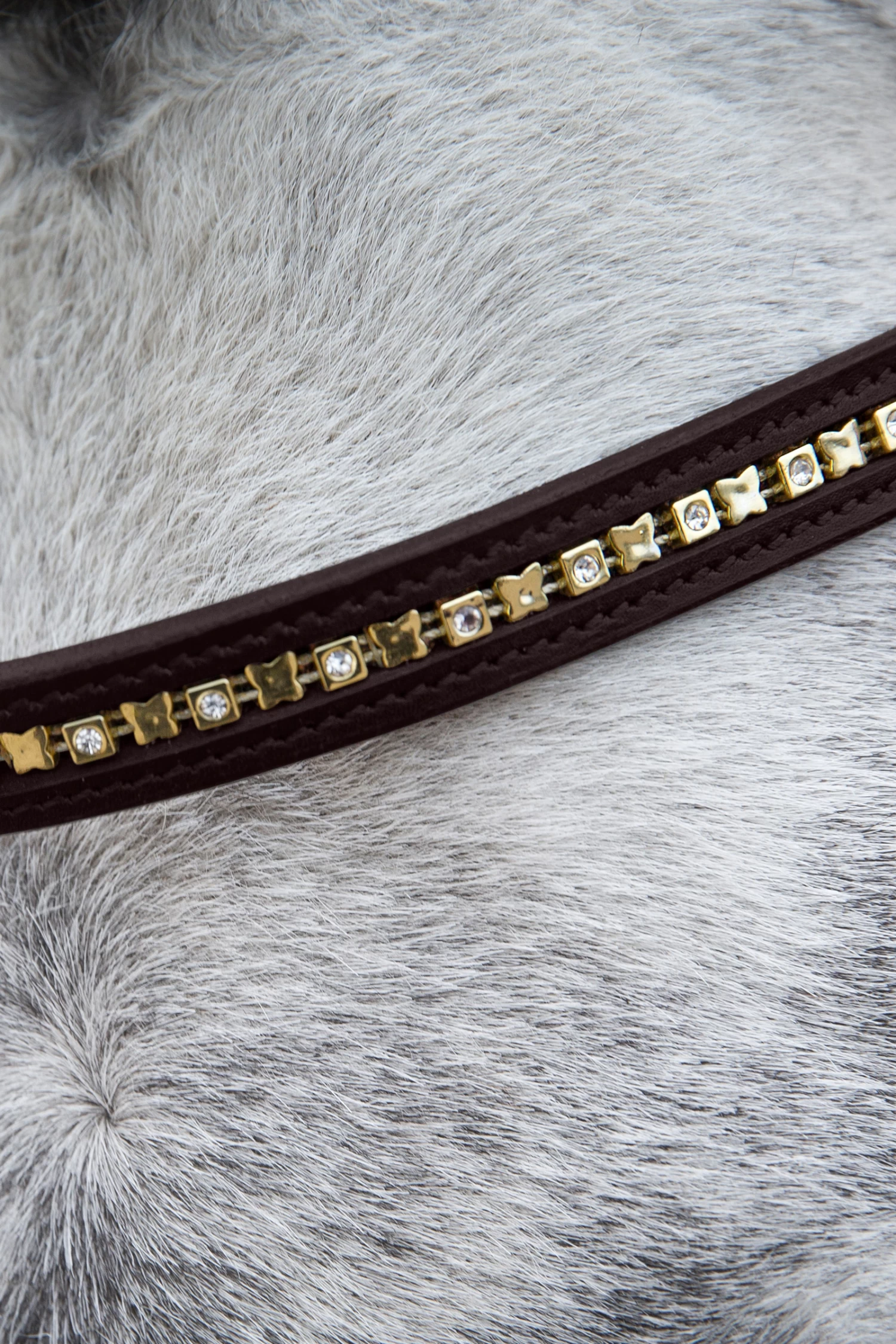 Horze Weston Bridle 8 Horze Weston Bridle - Image 6