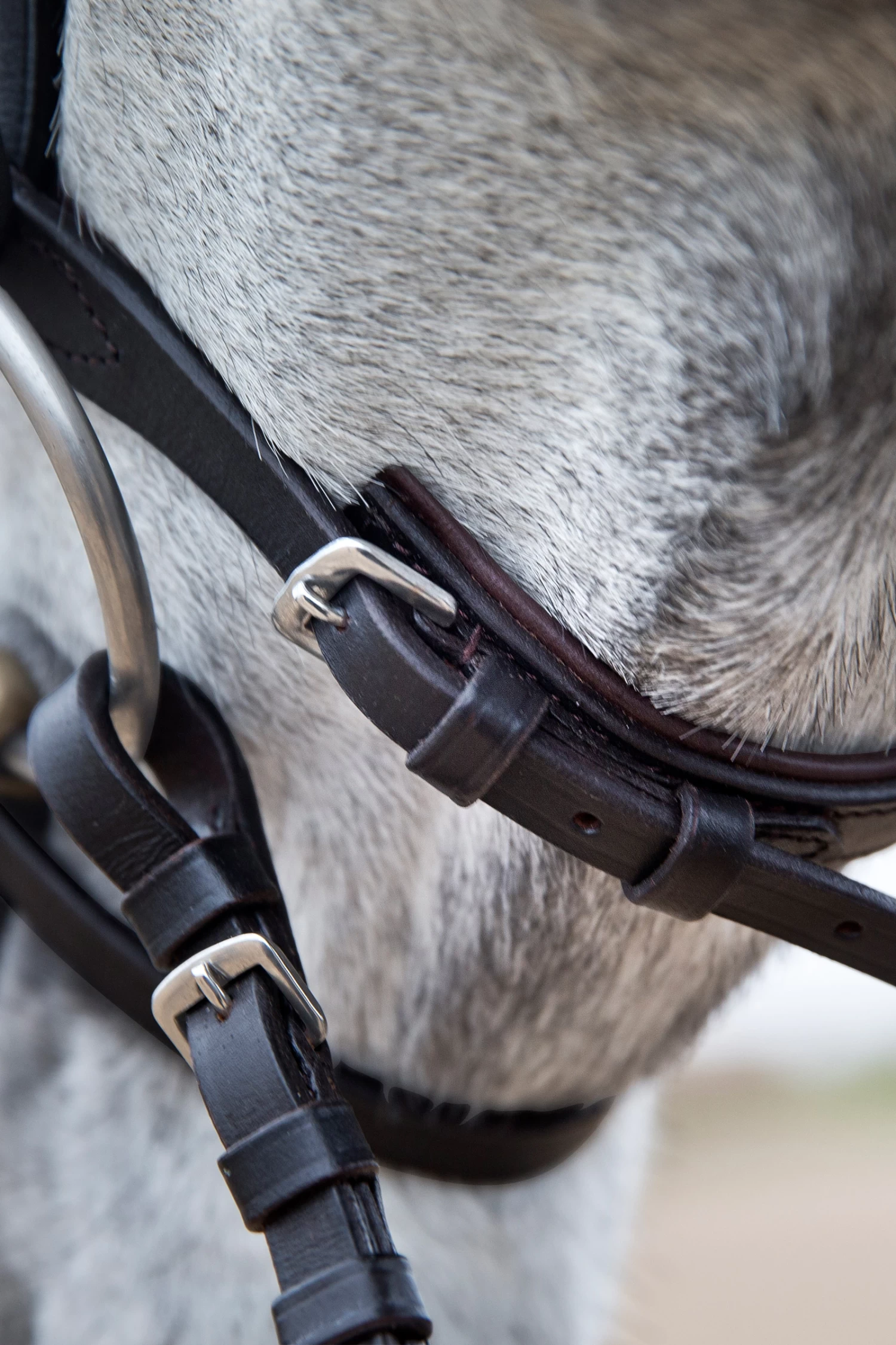 Horze Weston Bridle 9 Horze Weston Bridle - Image 7