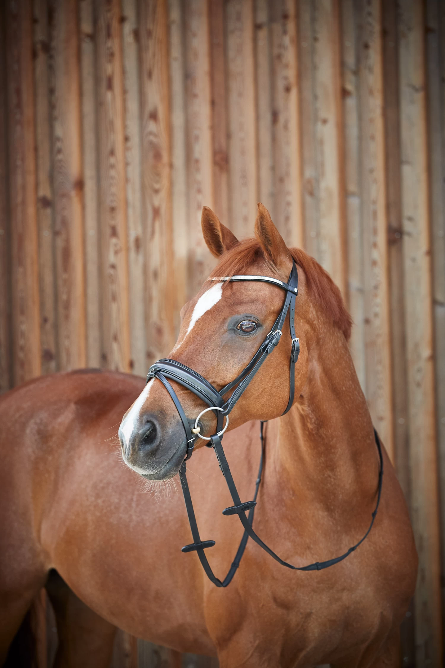 Horze Lester Bridle 6 Horze Lester Bridle - Image 4