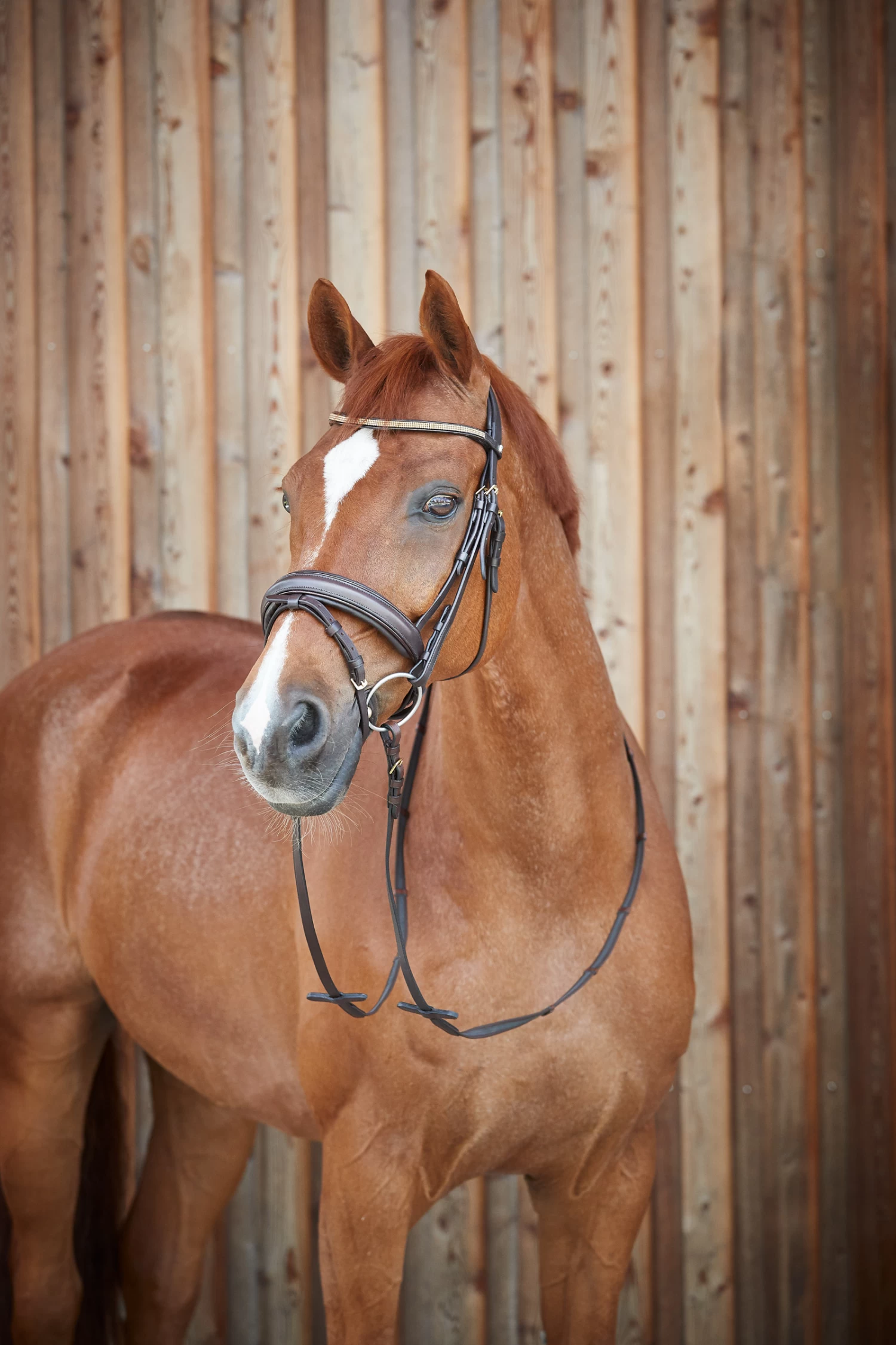 Horze Lester Bridle 10 Horze Lester Bridle - Image 8