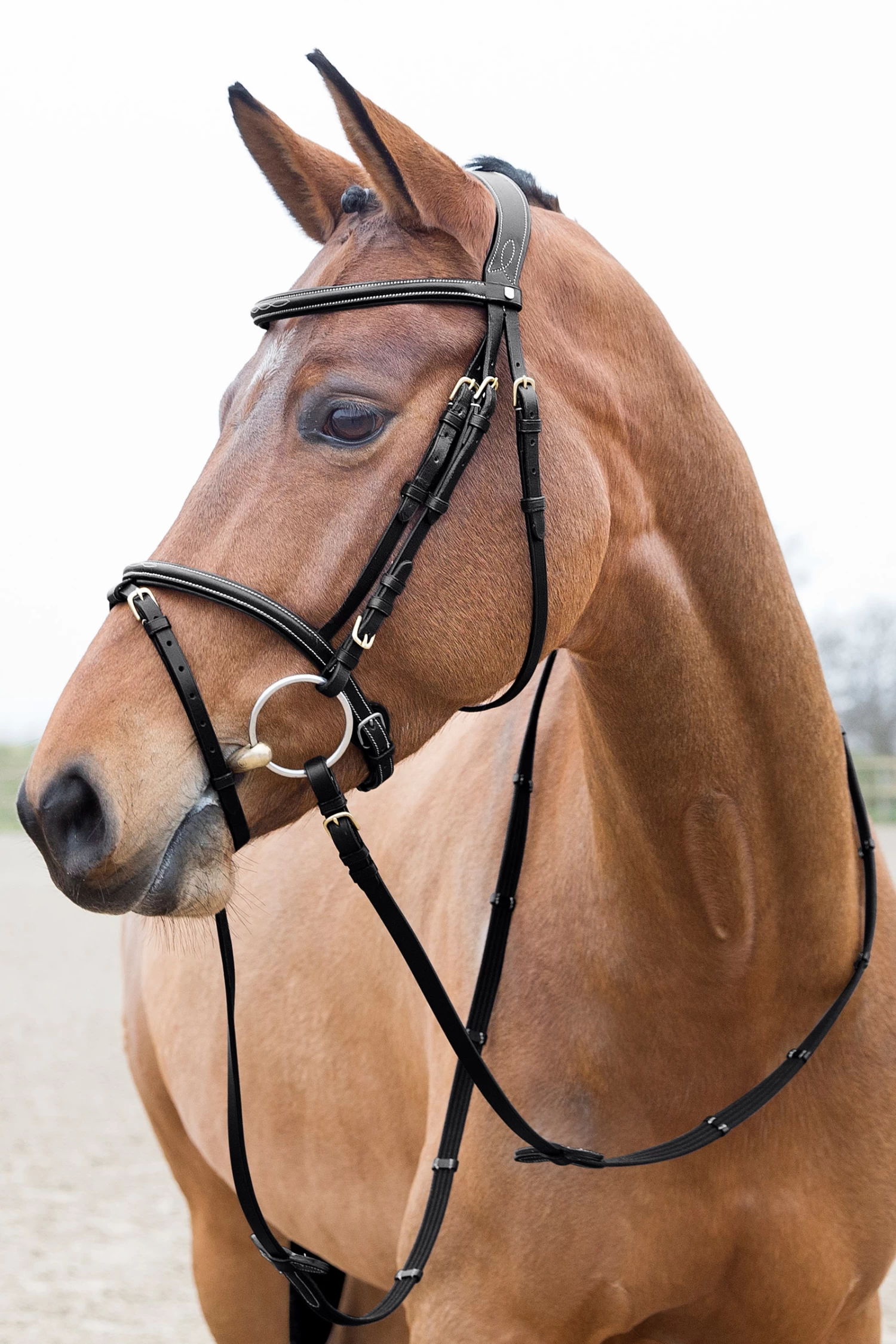 Horze Constance Padded Flash Bridle 3 Horze Constance Padded Flash Bridle