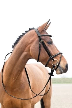 Horze Constance Padded Flash Bridle 8 Horze Constance Padded Flash Bridle -Sports - Horse Equipment Shop 10040 BL 03