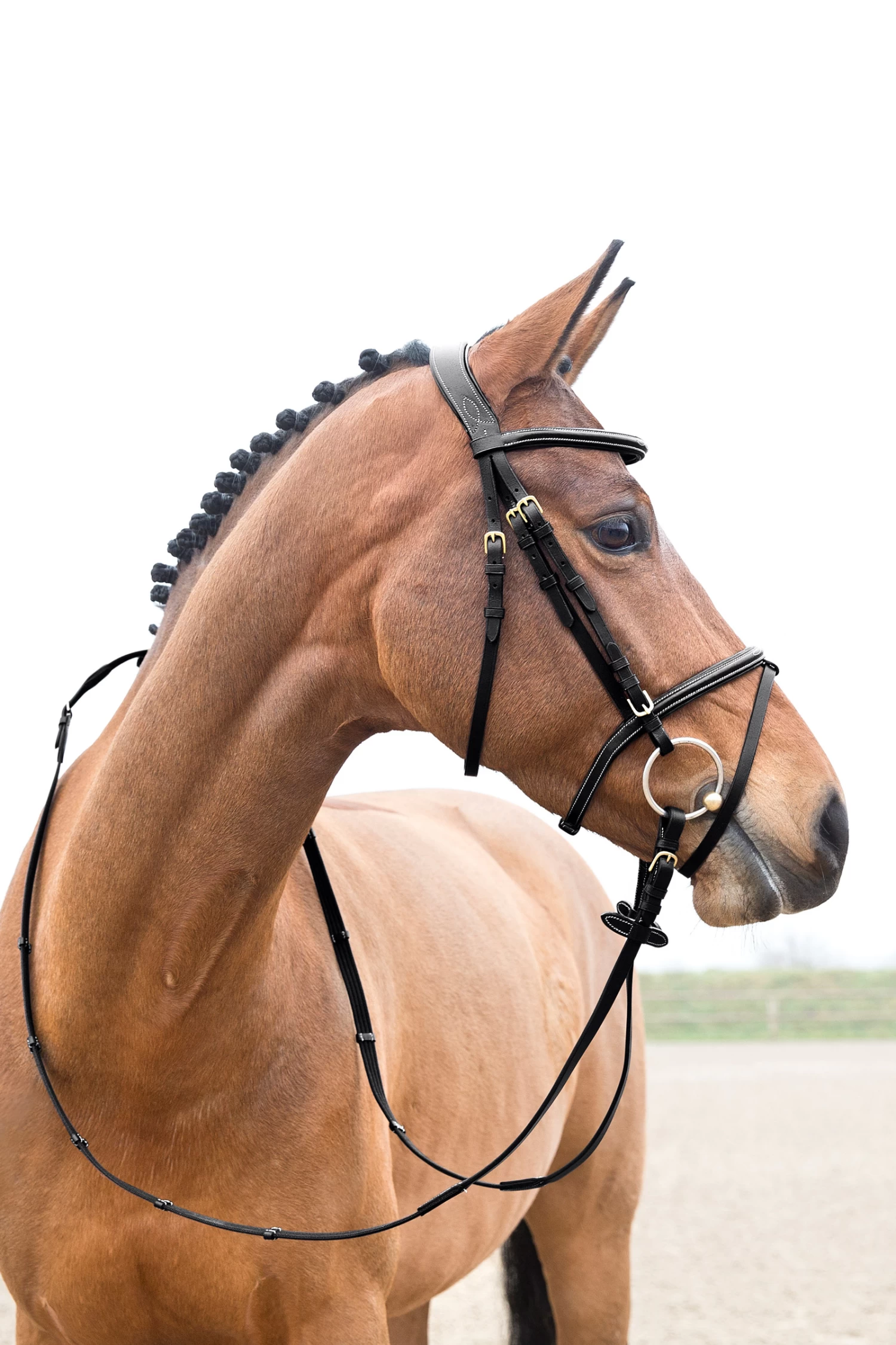 Horze Constance Padded Flash Bridle 4 Horze Constance Padded Flash Bridle - Image 2