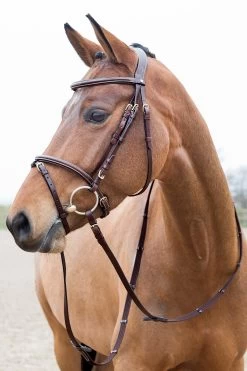 Horze Constance Padded Flash Bridle 10 Horze Constance Padded Flash Bridle -Sports - Horse Equipment Shop 10040 LBR 01