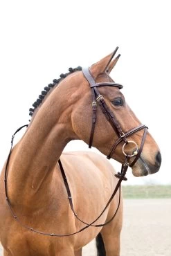 Horze Constance Padded Flash Bridle 11 Horze Constance Padded Flash Bridle -Sports - Horse Equipment Shop 10040 LBR 02