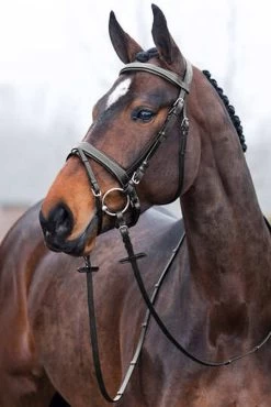 Horze Venice Bridle With Reins