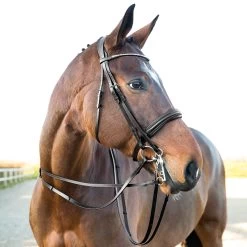 Horze Vienna Anatomic Weymouth Bridle