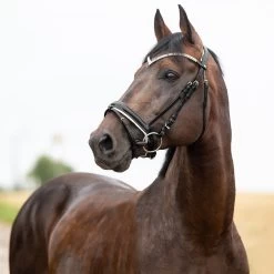 Horze Grayson Anatomic Snaffle Bridle -Sports - Horse Equipment Shop 10084 BL 1