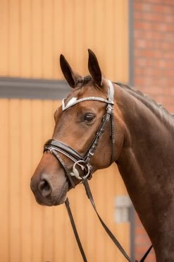 Horze Grayson Anatomic Snaffle Bridle -Sports - Horse Equipment Shop 10084 BL WH 4