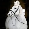 Horze Pony Bridle -Sports - Horse Equipment Shop 10104 BL GO 1