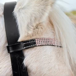Horze Pony Bridle -Sports - Horse Equipment Shop 10104 BL PI 2