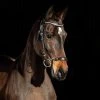 Horze Bergen Remont Bridle 2 Horze Bergen Remont Bridle -Sports - Horse Equipment Shop 10109 BL 1