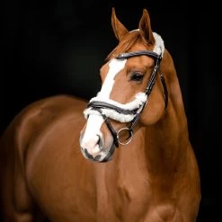 Horze Rome Anatomic Snaffle Bridle -Sports - Horse Equipment Shop 10118 DBR 3