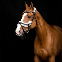 Horze Rome Anatomic Snaffle Bridle -Sports - Horse Equipment Shop 10118 DBR 4