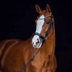 Horze Positano Anatomic Hannover Bridle -Sports - Horse Equipment Shop 10126 BL 2