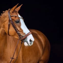 Horze Positano Anatomic Hannover Bridle -Sports - Horse Equipment Shop 10126 BR 3