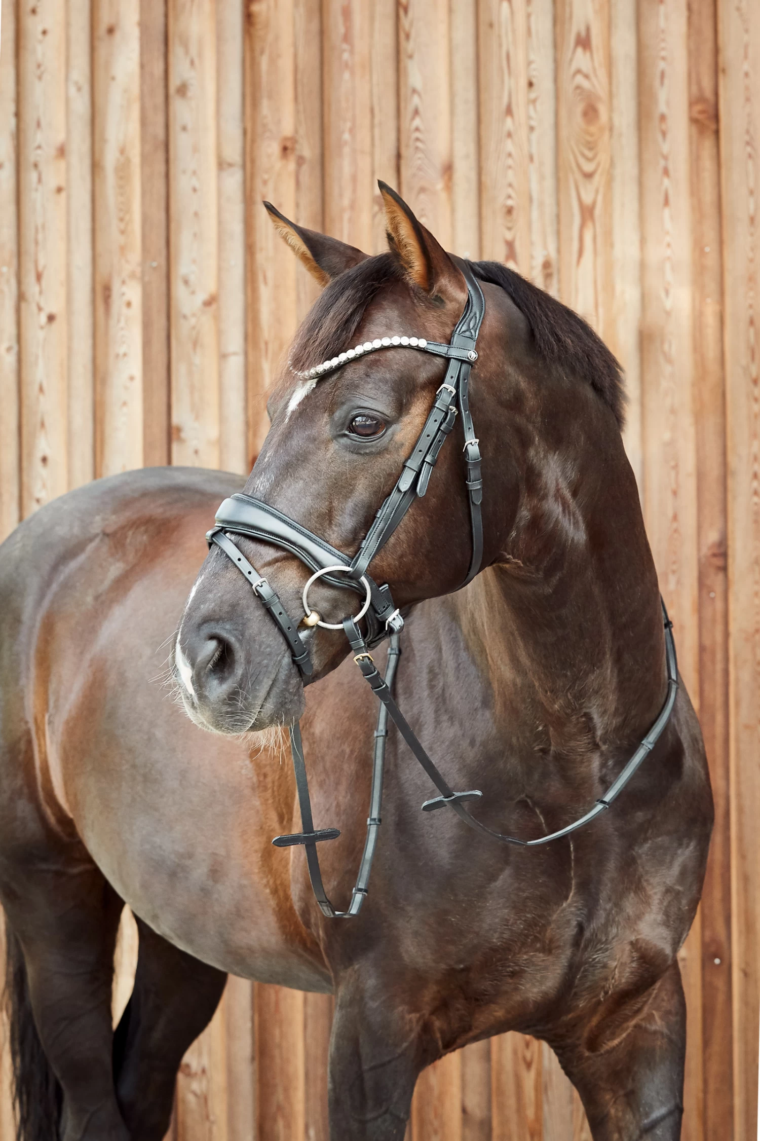 Horze Somerset Anatomic Bridle 6 Horze Somerset Anatomic Bridle - Image 4