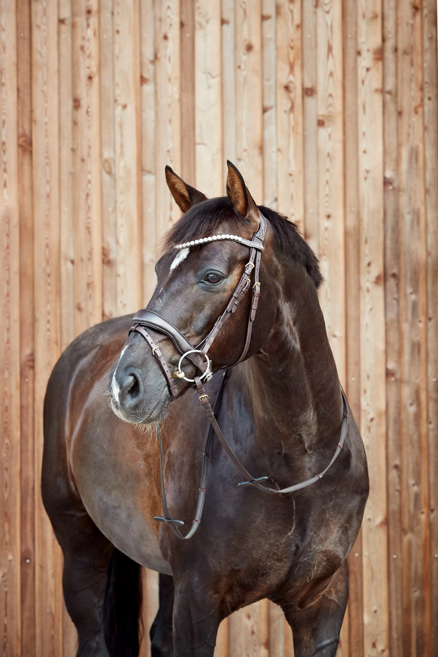 Horze Somerset Anatomic Bridle 10 Horze Somerset Anatomic Bridle - Image 8