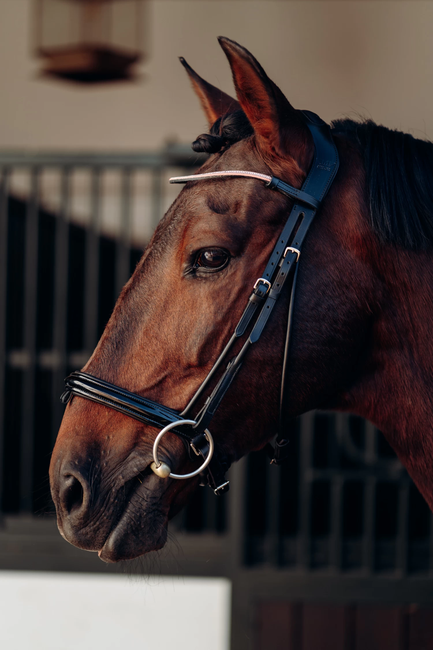 Horze Munich Brow Band With Crystals 8 Horze Munich Brow Band With Crystals - Image 6