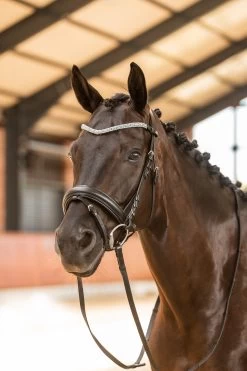 Horze Columbia Brow Band With Crystals 20 Horze Columbia Brow Band With Crystals -Sports - Horse Equipment Shop 10169 BL DB 4