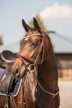 Horze Columbia Brow Band With Crystals 24 Horze Columbia Brow Band With Crystals -Sports - Horse Equipment Shop 10169 BR GO 4