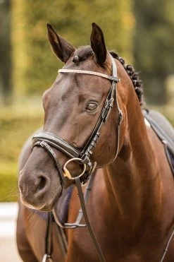 Horze Nancy Crystal And Wire Brow Band -Sports - Horse Equipment Shop 10170 bl rgo 05