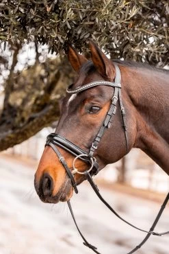 Horze Wicklow Browband -Sports - Horse Equipment Shop 10179 025 03