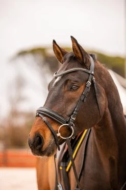 Horze Wicklow Browband -Sports - Horse Equipment Shop 10179 186 03