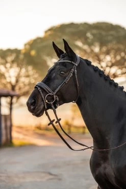 Horze Lockhart Anatomic Bridle 16 Horze Lockhart Anatomic Bridle -Sports - Horse Equipment Shop 10191 790 05