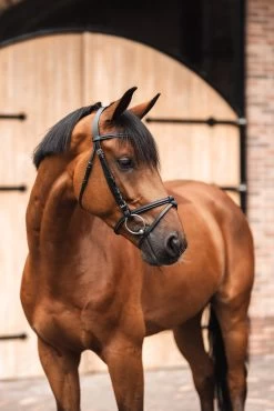 Horze Ice Water Bridle -Sports - Horse Equipment Shop 10192 099 06