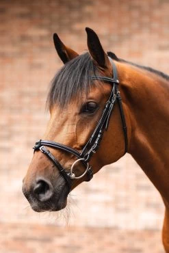 Horze Ice Water Bridle -Sports - Horse Equipment Shop 10192 099 07