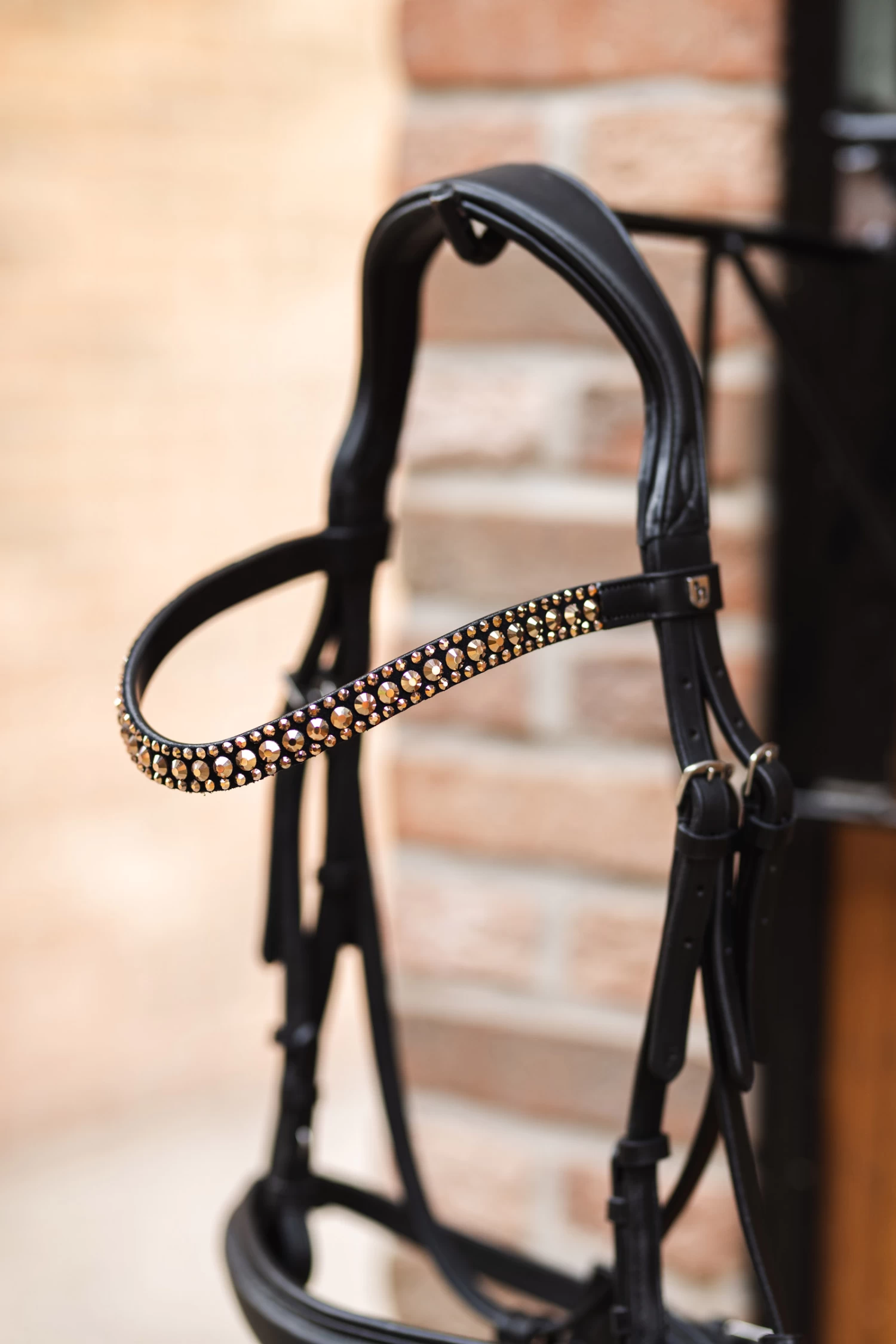 Horze St. Moritz Browband 7 Horze St. Moritz Browband - Image 5