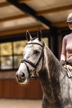 Horze St. Moritz Browband 21 Horze St. Moritz Browband -Sports - Horse Equipment Shop 10448 784 04