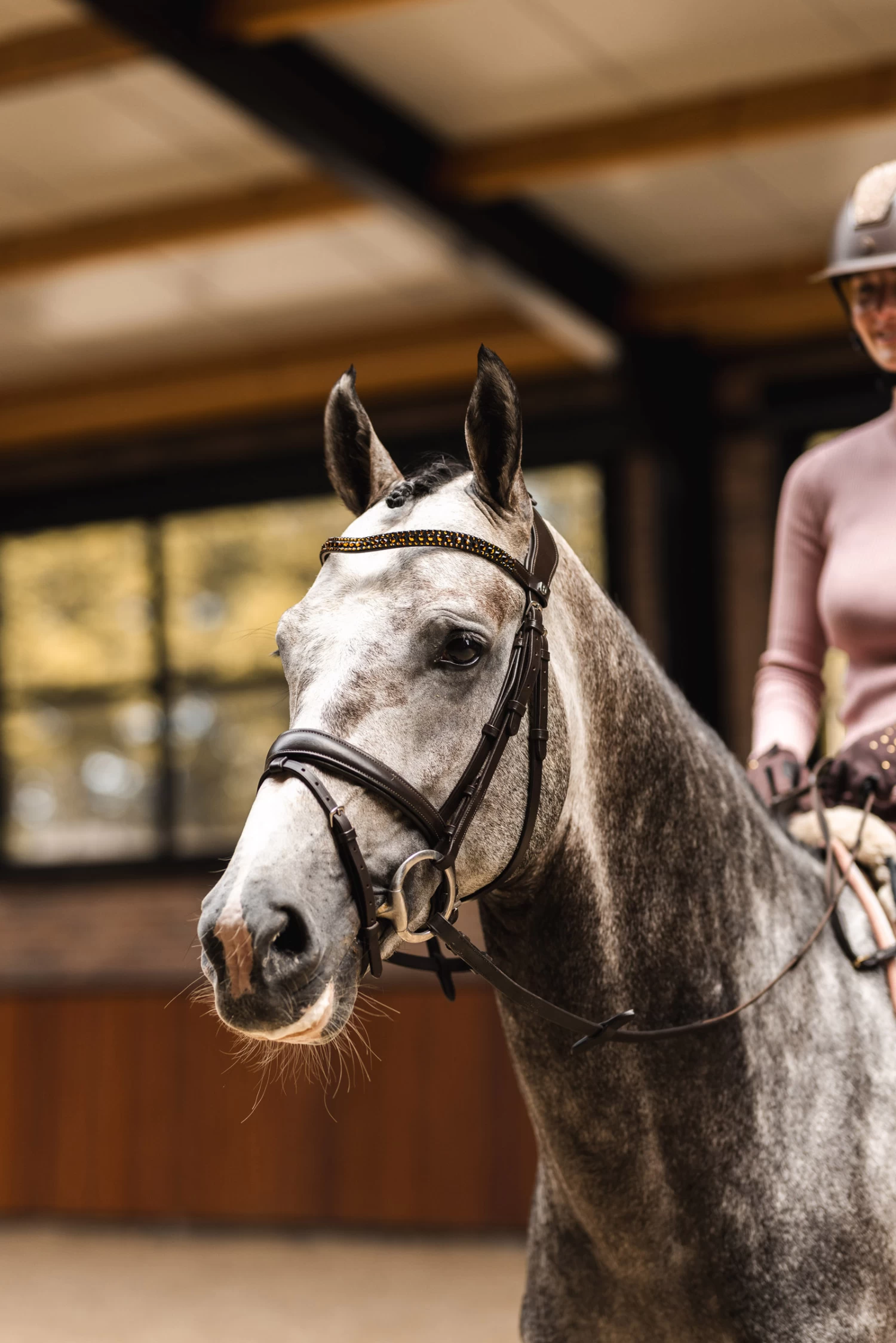 Horze St. Moritz Browband 12 Horze St. Moritz Browband - Image 10