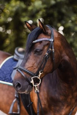 Horze Magic Carousel Part 2 Pony Browband -Sports - Horse Equipment Shop 10451 099 04