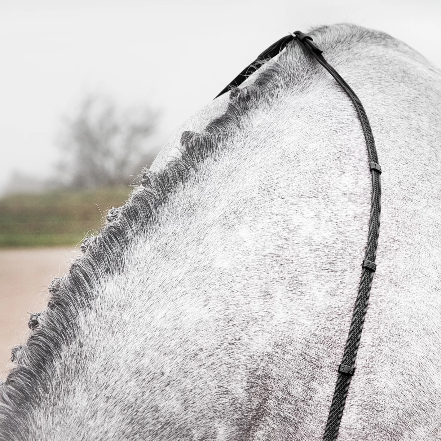 Horze Slender Intertwined Reins 6 Horze Slender Intertwined Reins - Image 4