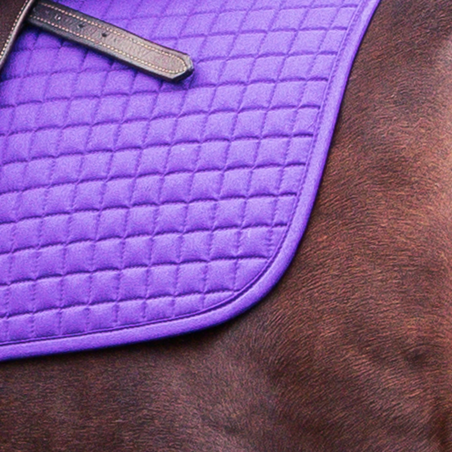 Horze River All Purpose Saddle Pad 10 Horze River All Purpose Saddle Pad - Image 8