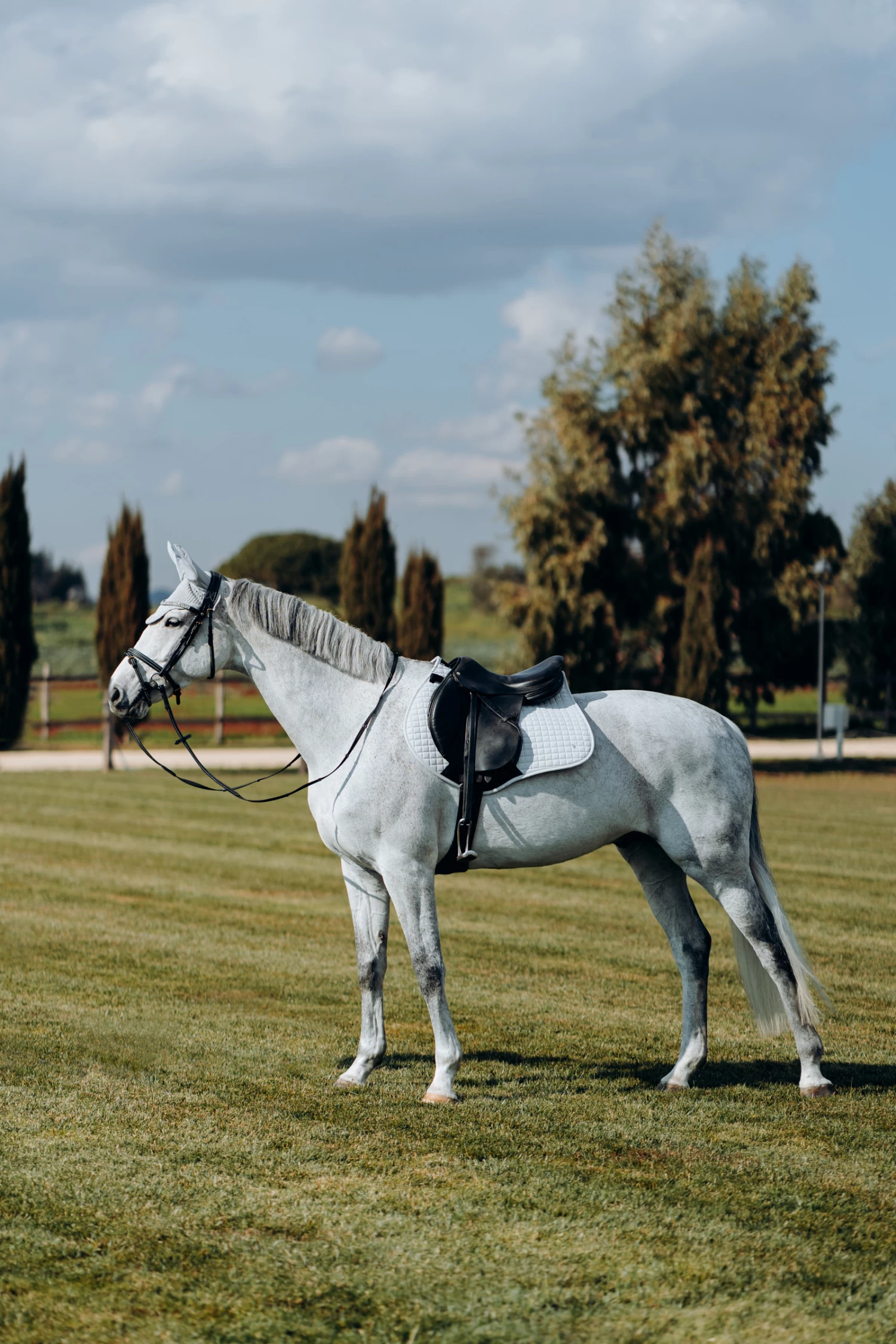 Horze Cooling All Purpose Saddle Pad 12 Horze Cooling All Purpose Saddle Pad - Image 10