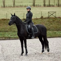 Horze Adepto All Purpose Saddle Pad -Sports - Horse Equipment Shop 17343 BL 5