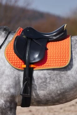 Horze Adepto All Purpose Saddle Pad -Sports - Horse Equipment Shop 17343 cgo 03
