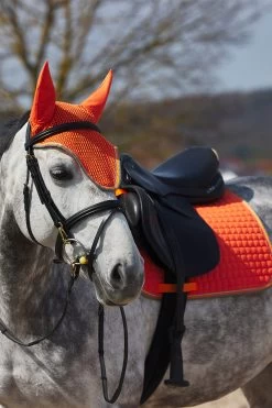 Horze Adepto All Purpose Saddle Pad -Sports - Horse Equipment Shop 17343 cgo 04