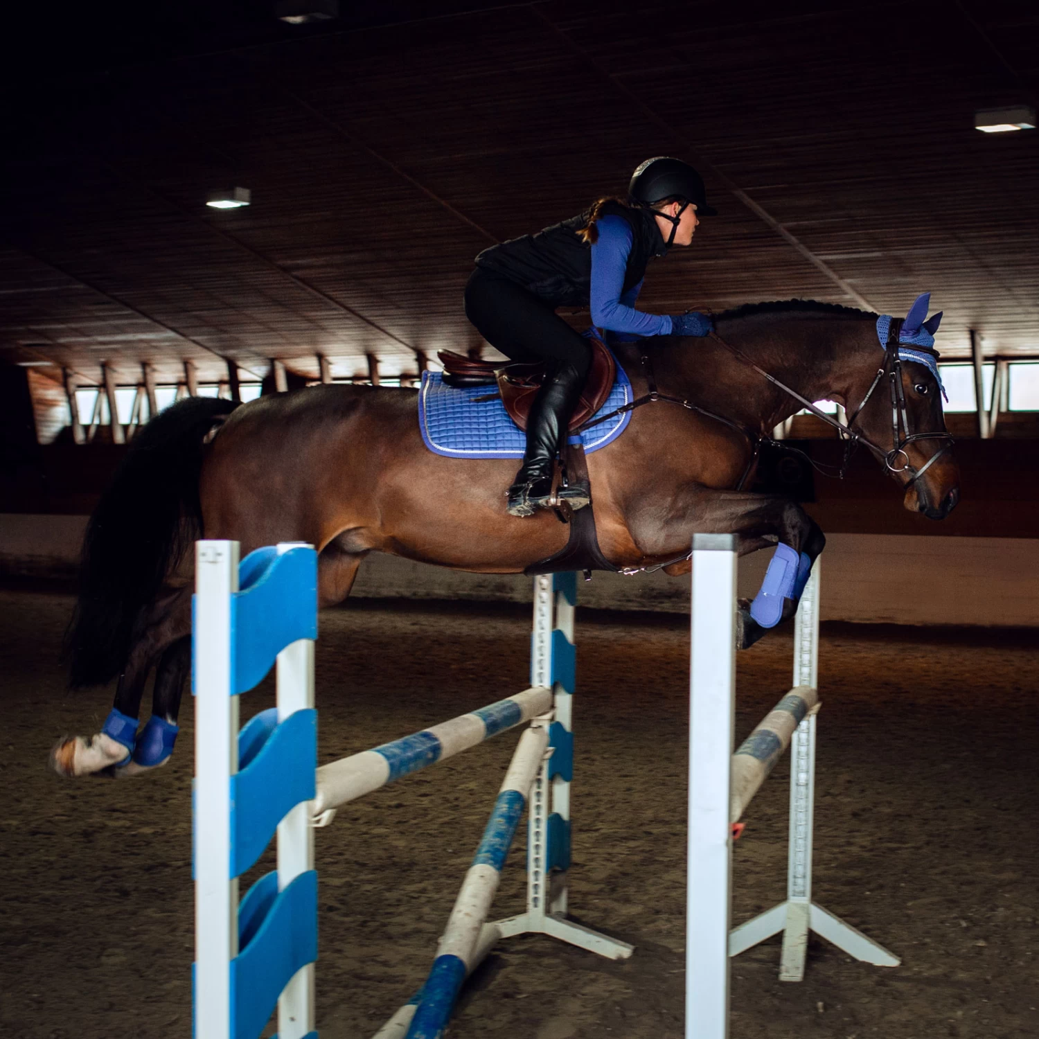 Horze Glarus All Purpose Saddle Pad With Metallic Braiding 12 Horze Glarus All Purpose Saddle Pad With Metallic Braiding - Image 10