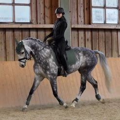 Horze Adepto Dressage Saddle Pad -Sports - Horse Equipment Shop 17353 BKGR 7