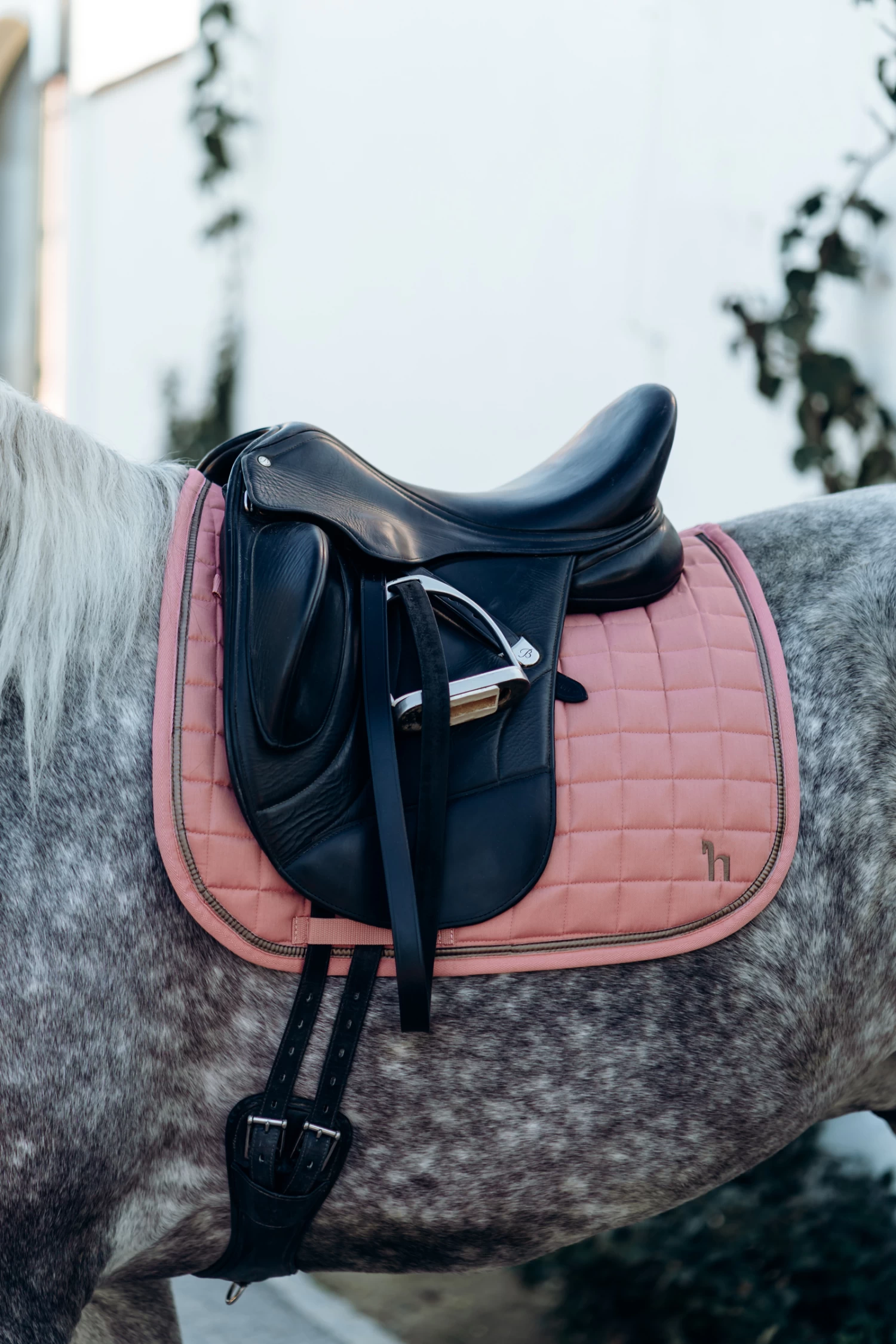 Horze Munich Dressage Saddle Pad With Metallic Detail 17 Horze Munich Dressage Saddle Pad With Metallic Detail - Image 15