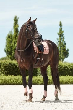 Horze Coventry Dressage Saddle Pad 17 Horze Coventry Dressage Saddle Pad -Sports - Horse Equipment Shop 17417 CPI 3