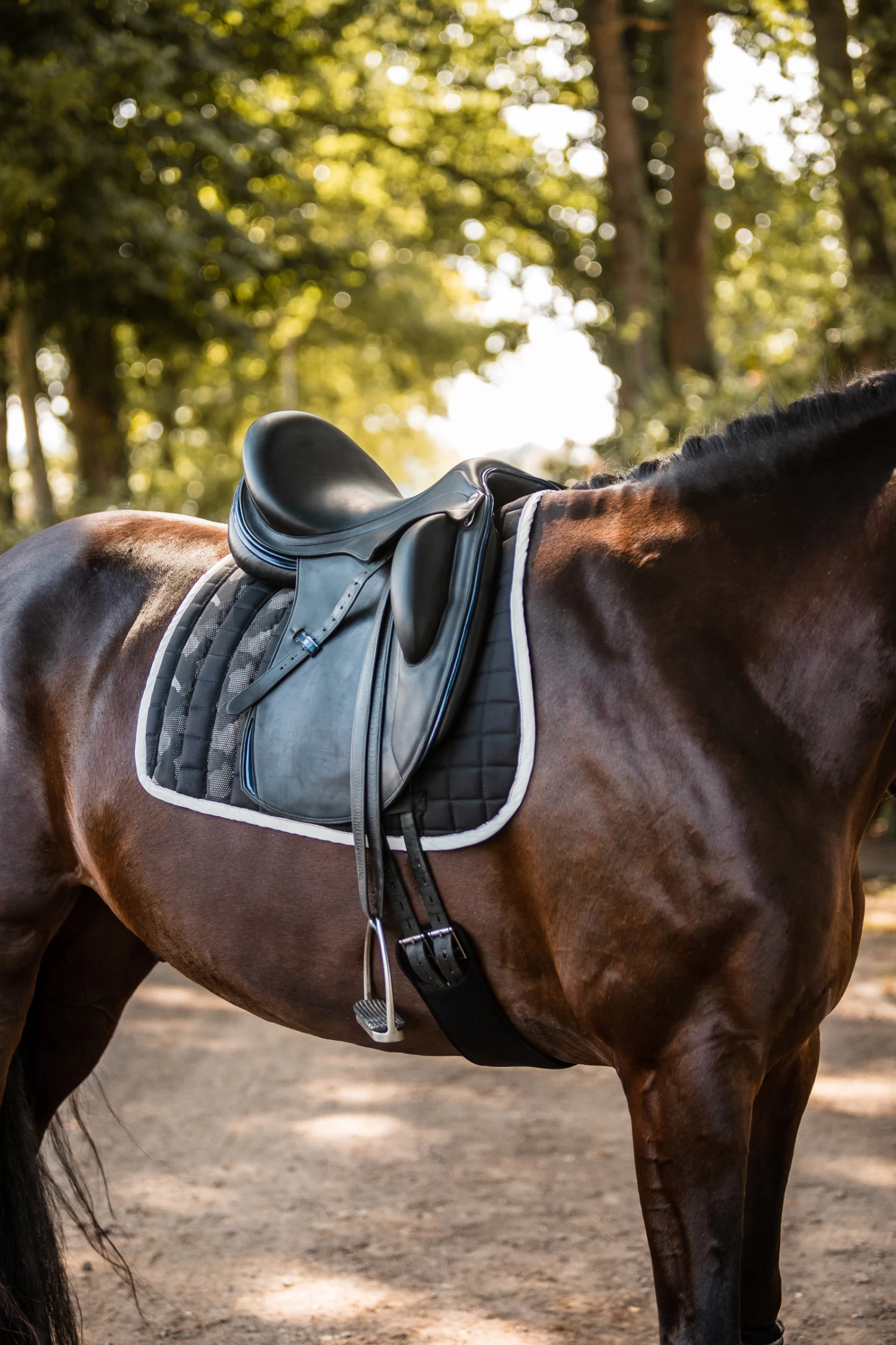 Horze Luminox Reflective Saddle Pad 5 Horze Luminox Reflective Saddle Pad - Image 3