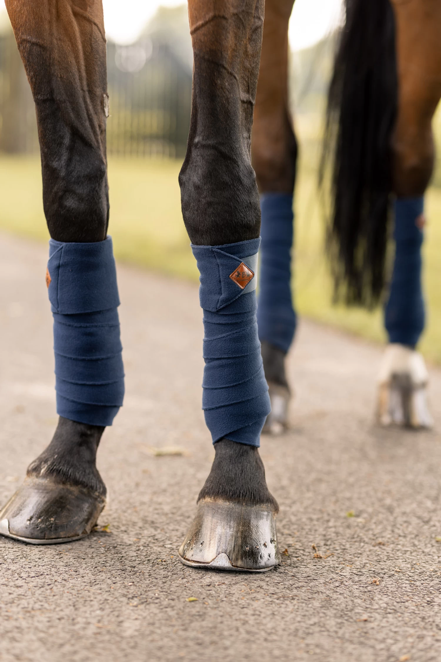 B Vertigo Lexi Fleece Bandages 4 B Vertigo Lexi Fleece Bandages - Image 2